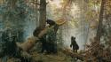 Paintings landscapes forest bears ivan shishkin wallpaper