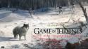 Snow game of thrones tv series hbo wolves wallpaper