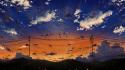 Sunset clouds birds scenic power lines sky wallpaper