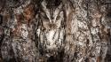 Trees owls camouflage wallpaper