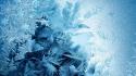 Ice snowflakes frost wallpaper