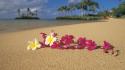 Sand flowers hawaii paradise oahu plumeria wallpaper