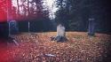 Autumn leaves graves cemetery fallen headstone wallpaper