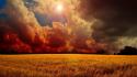 Clouds storm wheat wallpaper