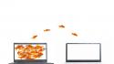 Funny jumping goldfish laptops white background screens wallpaper