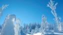 Ice landscapes winter snow wallpaper