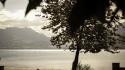 Landscapes nature trees sepia lakes depth of field wallpaper