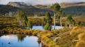 Landscapes trees tasmania australia lakes bing wallpaper