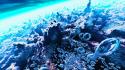 Water bubbles coraline scenic digital art sky corals wallpaper