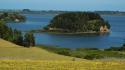Chile landscapes nature trees forests hills islands lakes wallpaper