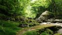 Japan landscapes trees rocks moss path wallpaper