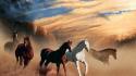 Nature animals dust horses wallpaper