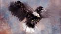 Paintings birds predator eagles artwork wallpaper
