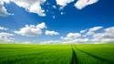 Clouds green field skyscapes wallpaper