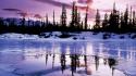 Landscapes nature snow trees lakes reflections wallpaper