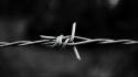 Monochrome knot barbed wire wrap wallpaper