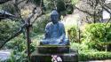 Buddha buddhism flowers garden meditation wallpaper