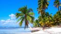 Caribbean beaches coconut landscapes nature wallpaper