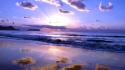 Clouds landscapes reflections beach wallpaper