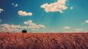 Clouds vintage houses fields wheat meadows skyscapes skies wallpaper