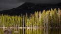 Landscapes nature trees forests lakes selective coloring wallpaper