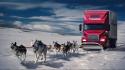 Snow dogs trucks fantasy art digital artwork wallpaper
