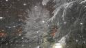 Winter snow snowflakes serbia snowflake kragujevac wallpaper