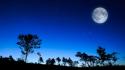 Moon silhouette wallpaper