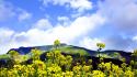 Mountains clouds landscapes flowers hills yellow skies wallpaper