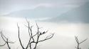 Mountains clouds trees branches birds wallpaper