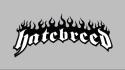 Music metalcore logos hatebreed wallpaper