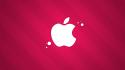 Pink apple logo wallpaper