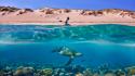 Australia sand dunes umbrellas scuba diving split-view wallpaper
