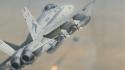 F-18 hornet aircraft mcdonnell douglas f/a-18c wallpaper