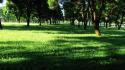 Grass green nature shadows trees wallpaper