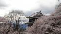 Japan castles cherry blossoms flowers sakura spring wallpaper