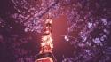 Japan cherry blossoms tokyo night tower low-angle shot wallpaper