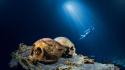 National geographic cave cenote light nature wallpaper
