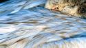 Nature wings eyes birds feathers national geographic wallpaper