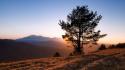 Sunrise mountains landscapes nature trees morning dawning wallpaper