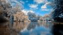 Blue landscapes nature trees stephen saphire lagoon reflections wallpaper
