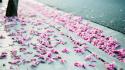 Los angeles depth of field pink flowers wallpaper