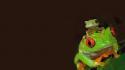 Red animals red-eyed tree frog frogs wallpaper