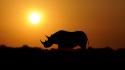 Sun animals silhouettes rhinoceros wallpaper
