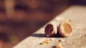 Wood nuts acorns depth of field wallpaper