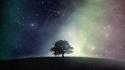 Outer space trees night skies wallpaper