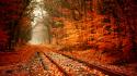 Autumn railway wallpaper