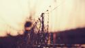 Blurred background bokeh depth of field fences nature wallpaper