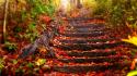 Fall landscape wallpaper