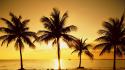 Florida beaches palm trees sea sunset wallpaper